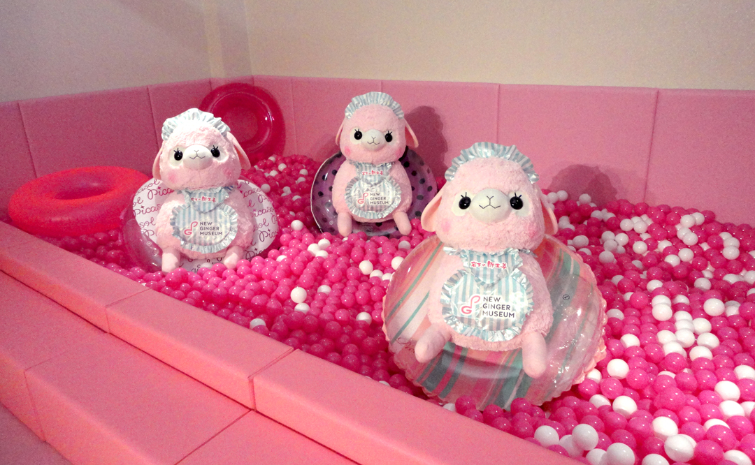 「アルパカ広場」にピンクの海が出現！？