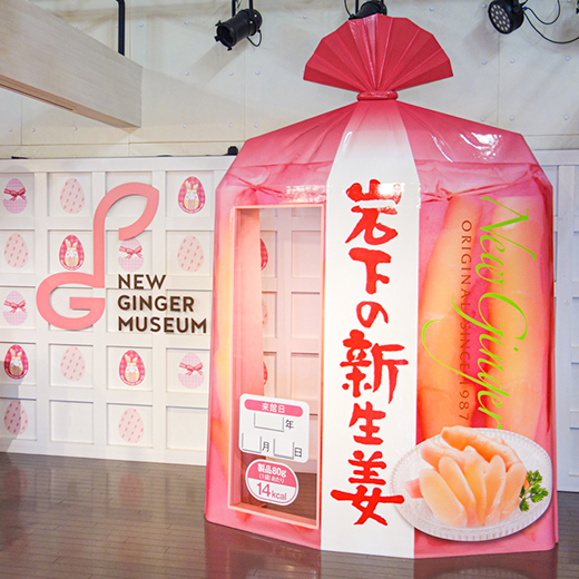 画像：岩下の新生姜巨大パッケージ