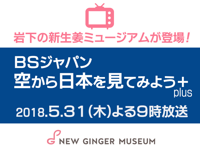 画像：2018年5月31日（木）放送、BSジャパン『空から日本を見てみよう＋（plus）』に岩下の新生姜ミュージアムが登場。