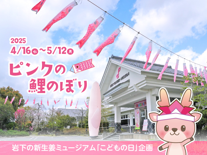 画像:ピンクの鯉のぼり