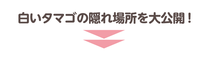 白いタマゴの隠れ場所を大公開!