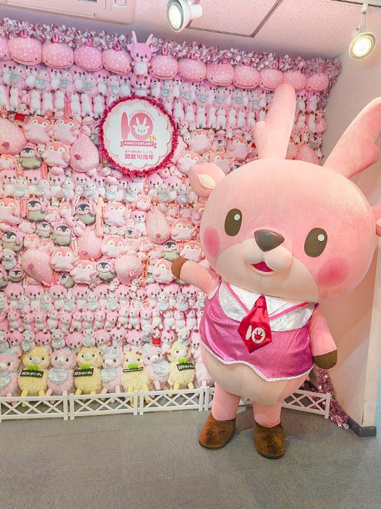 画像:ぬいぐるみの壁とイワシカちゃん