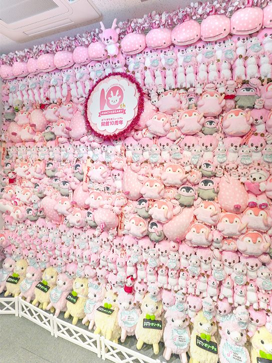 画像:ぬいぐるみの壁(斜めアングル)